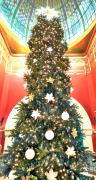 julgran 26 lista